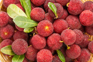 25 STRAWBERRY TREE Edible Red Berry Tree Arbutus Unedo Seeds Irish Killarney